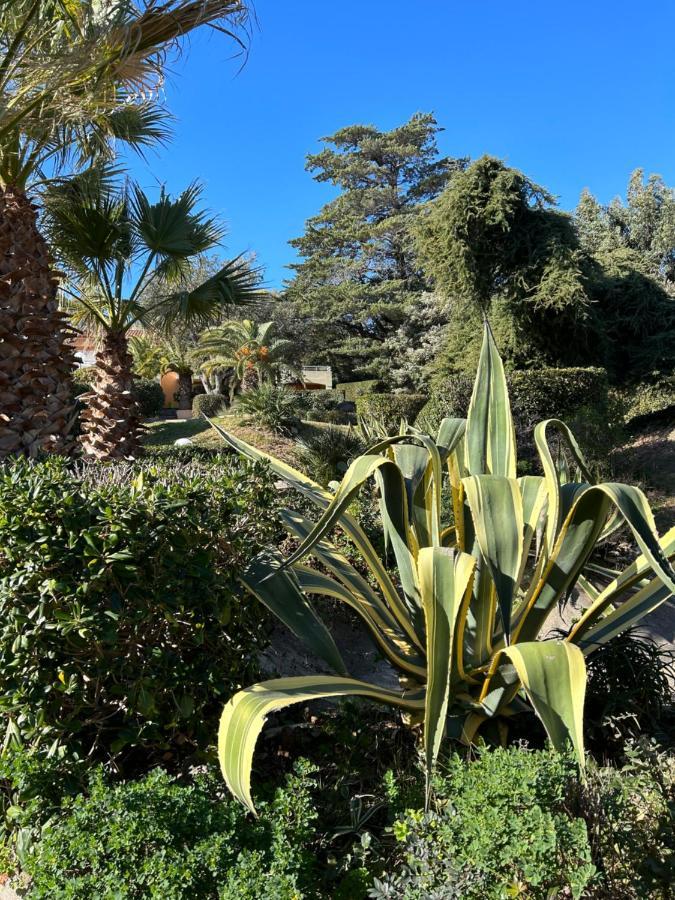 Appartement Vue Mer Domaine Arbore Saint-Raphael  Luaran gambar